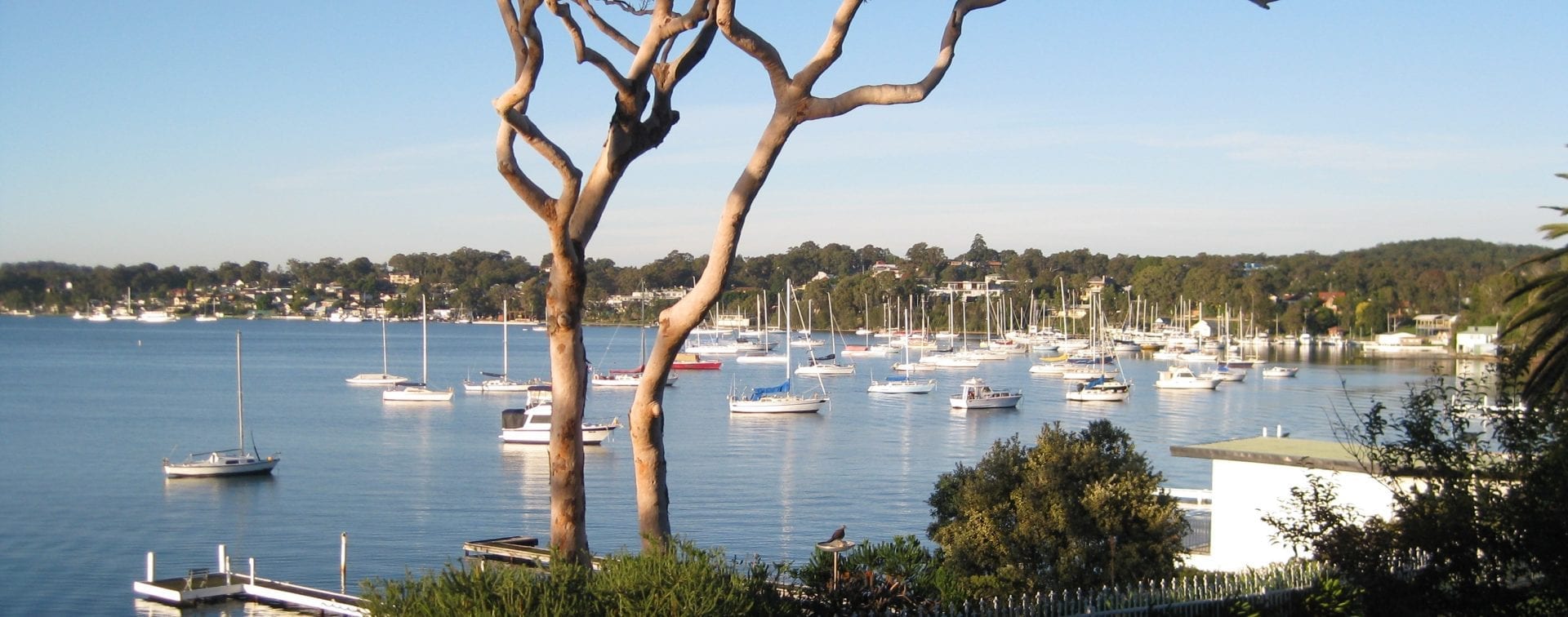 Demolition & Earthmoving Contractor Lake Macquarie Watson Demolition